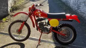 Betamotor   (2)