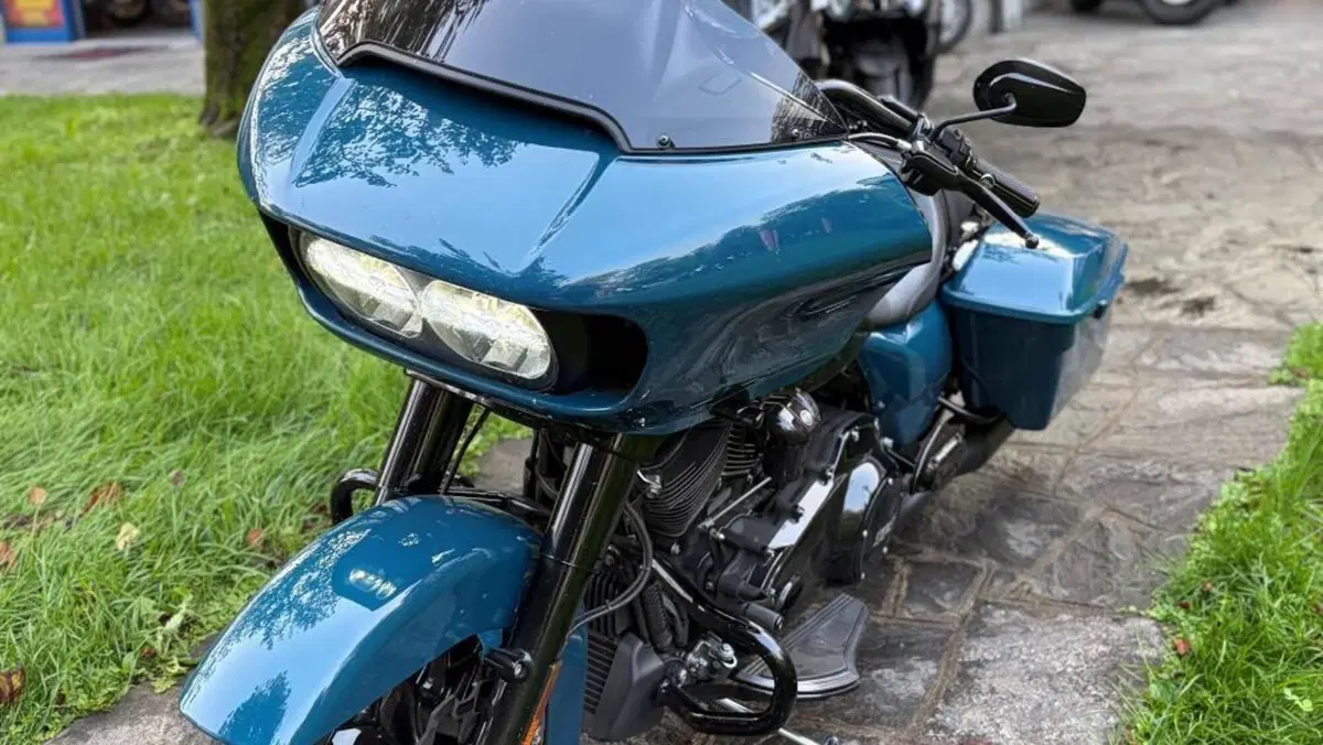 Harley-Davidson Road Glide Special (2021 - 23)  (4)