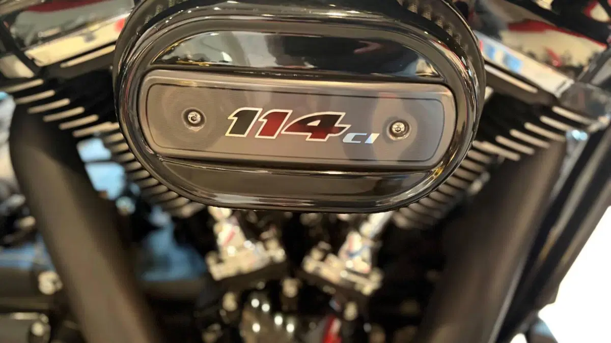 Harley-Davidson Road Glide Special (2021 - 23)  (9)