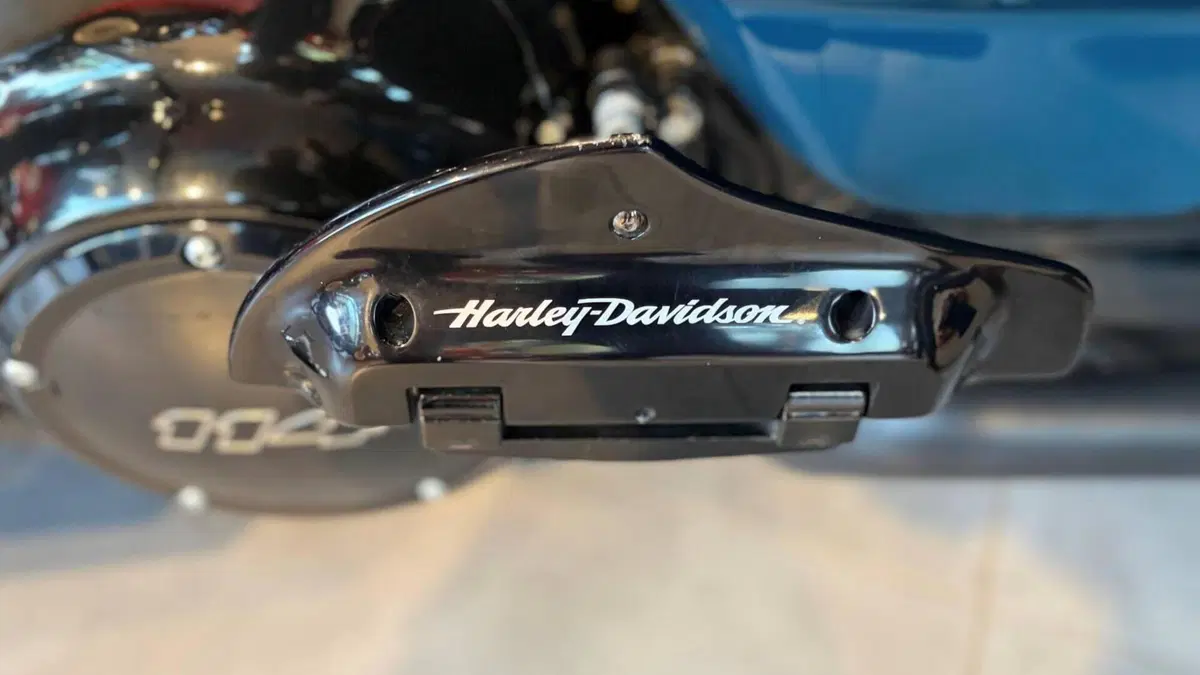 Harley-Davidson Road Glide Special (2021 - 23)  (11)
