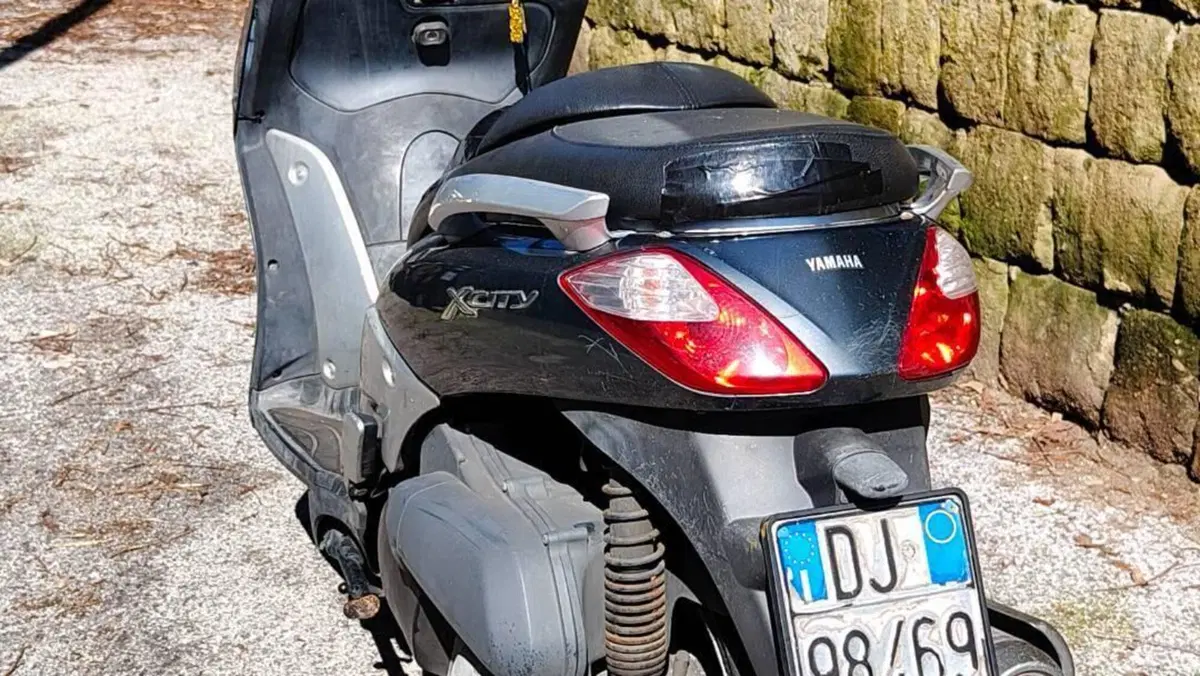 Yamaha X-City 250 (2006 - 16)  (3)