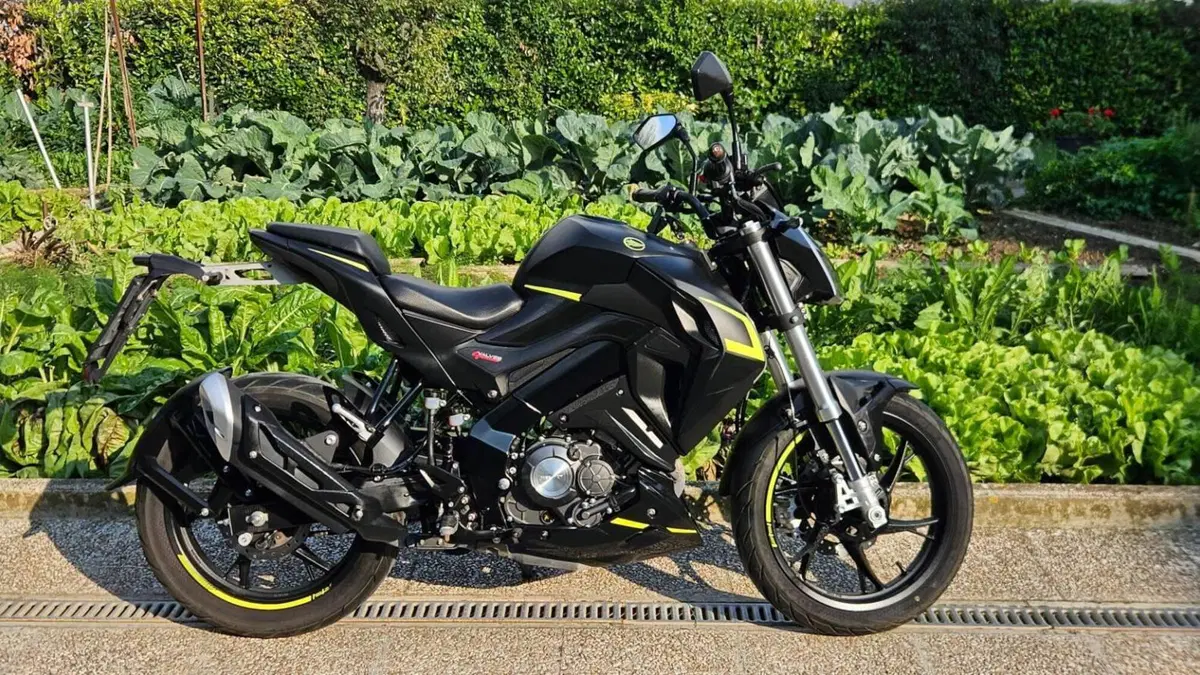 Keeway Motor RKF 125 (2021 - 24) 