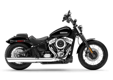 Harley-Davidson Street Bob 117 (2025 - 26) - Annuncio 10137654