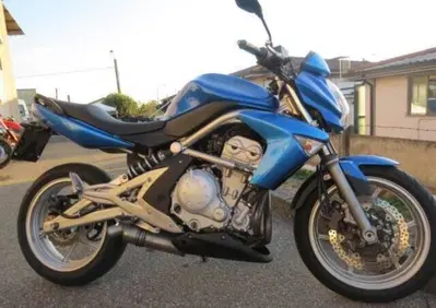 Kawasaki ER-6N (2009 - 11) - Annuncio 10134272