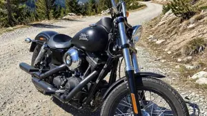 Harley-Davidson 1690 Street Bob (2017) - FXDB  (2)