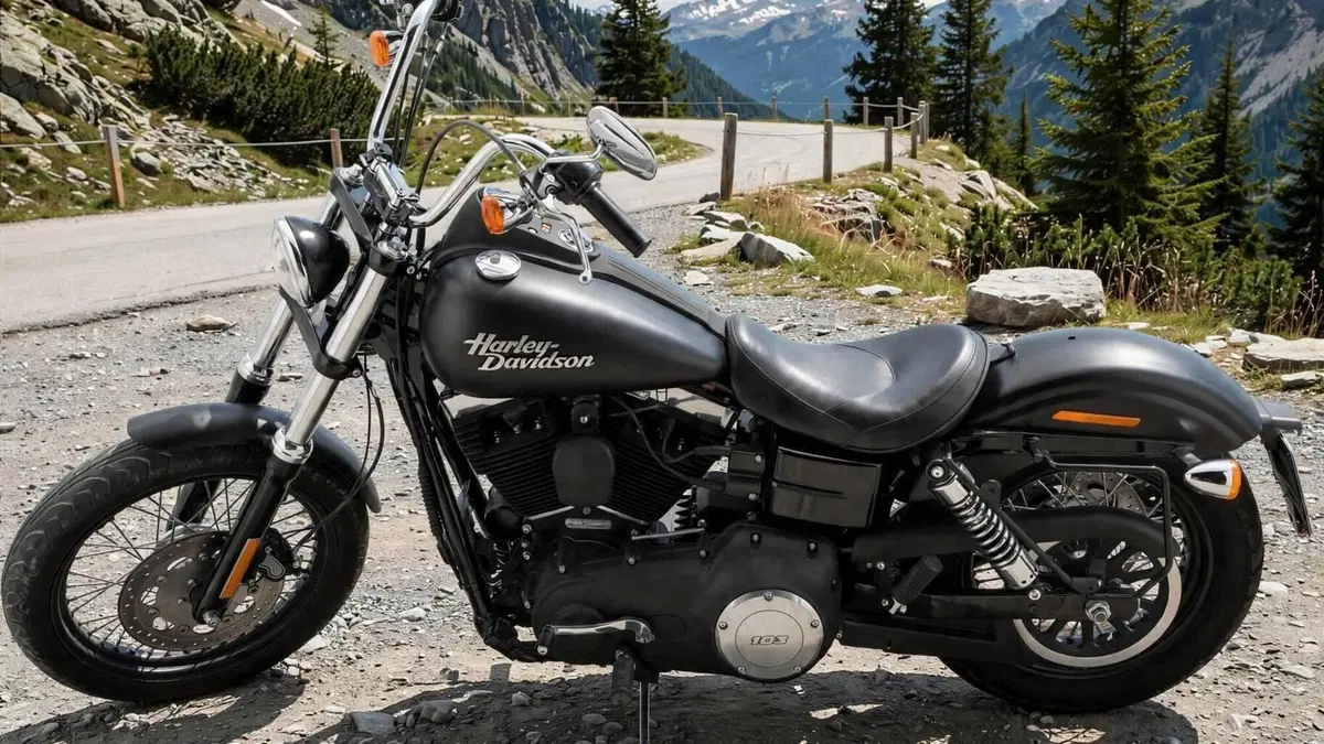 Harley-Davidson 1690 Street Bob (2017) - FXDB  (3)