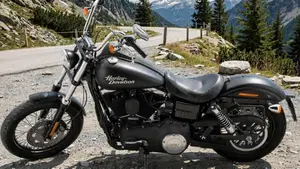 Harley-Davidson 1690 Street Bob (2017) - FXDB  (3)