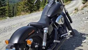 Harley-Davidson 1690 Street Bob (2017) - FXDB  (4)