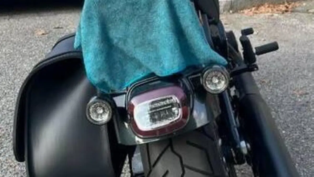 Harley-Davidson Low Rider S (2025 - 26)  (4)