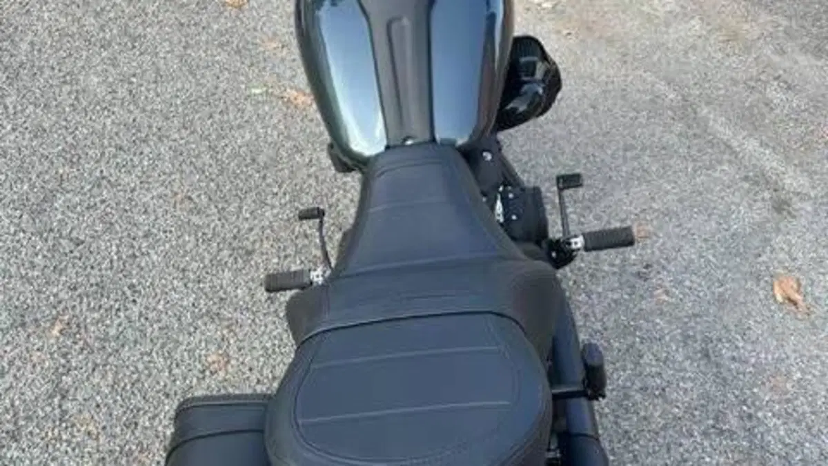 Harley-Davidson Low Rider S (2025 - 26)  (5)