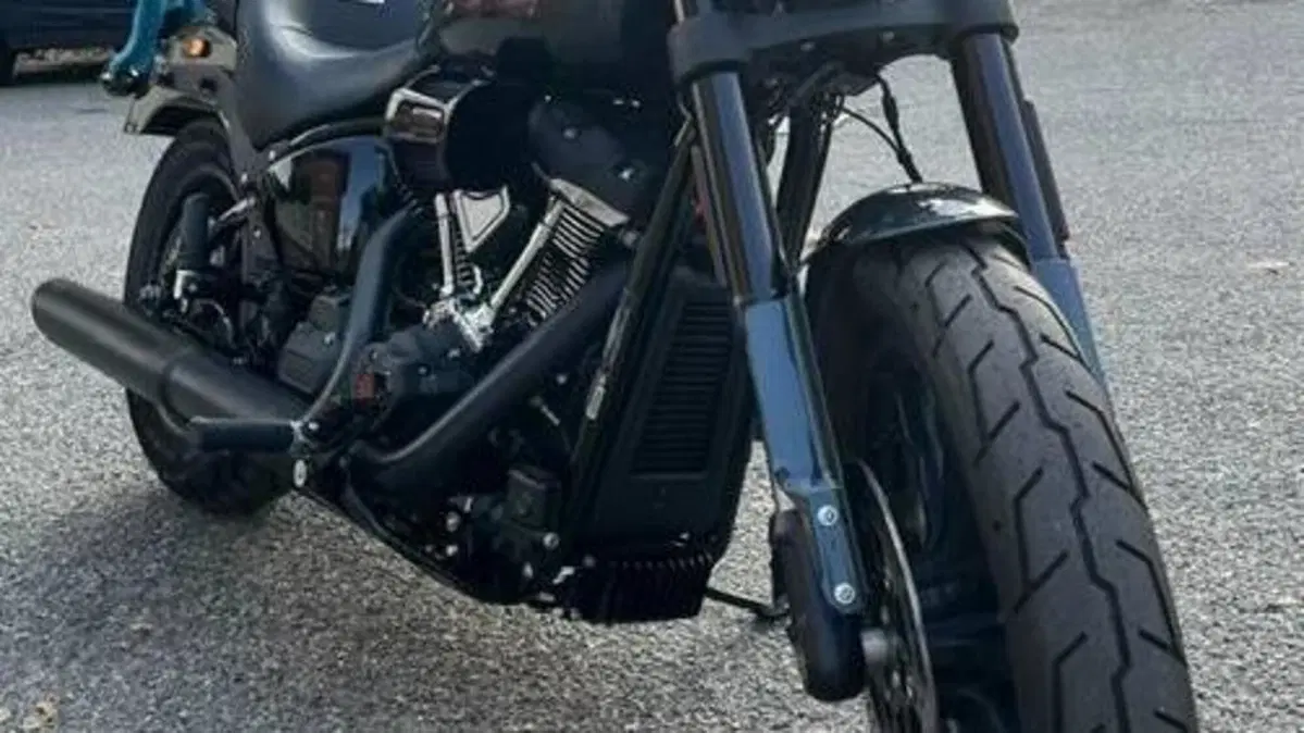 Harley-Davidson Low Rider S (2025 - 26)  (6)