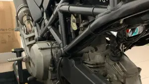 Ducati Monster 620 Dark (2003 - 06)  (13)