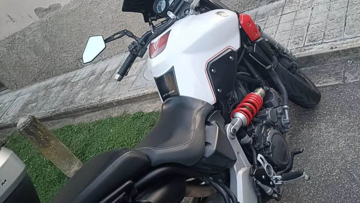 Yamaha MT-03 (2006 - 14)  (5)