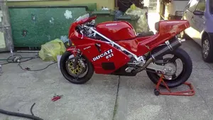 Ducati   (4)