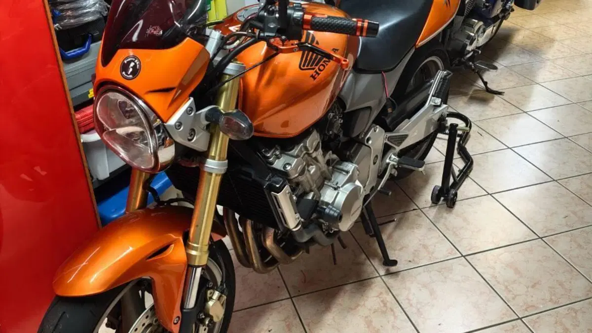 Honda Hornet 600 (2005 - 06) 