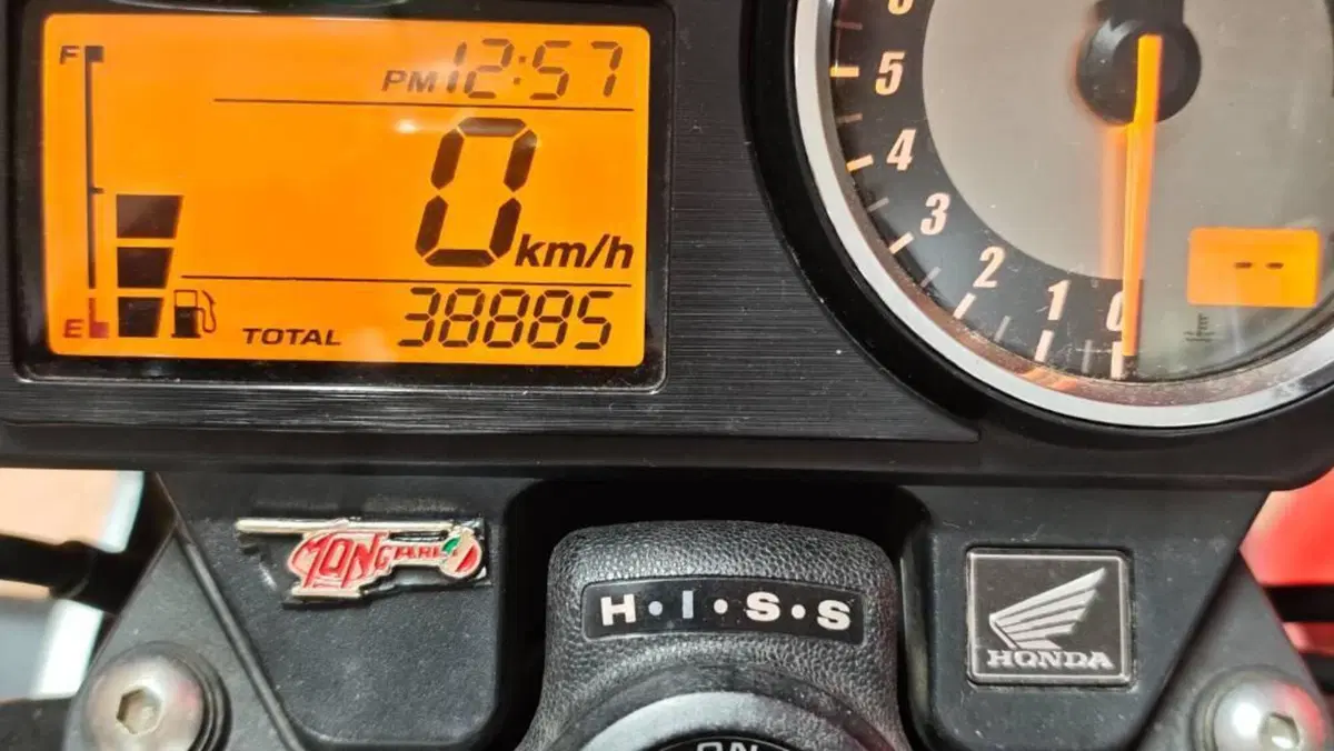 Honda Hornet 600 (2005 - 06)  (2)