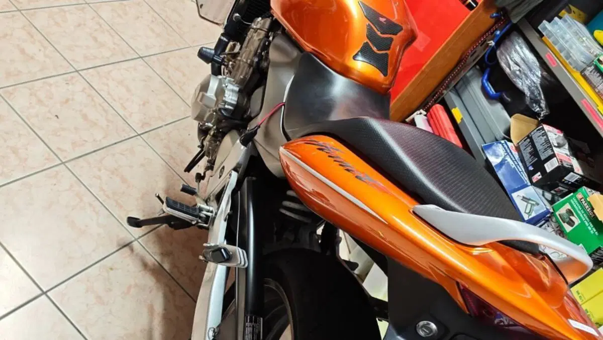 Honda Hornet 600 (2005 - 06)  (4)
