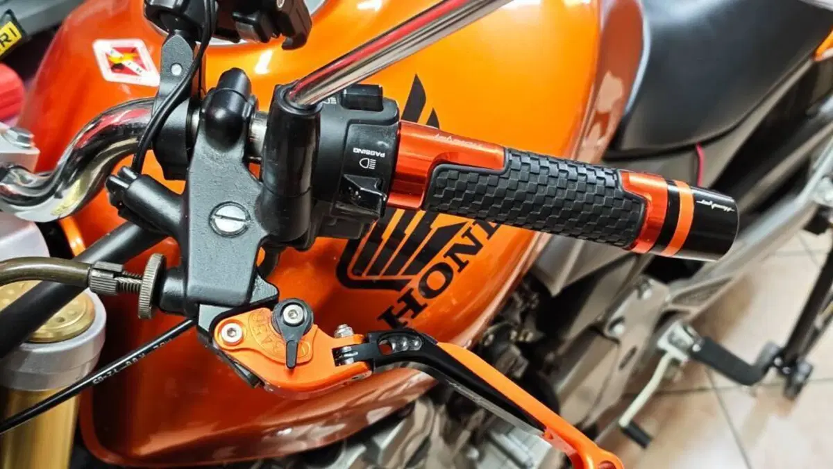 Honda Hornet 600 (2005 - 06)  (6)