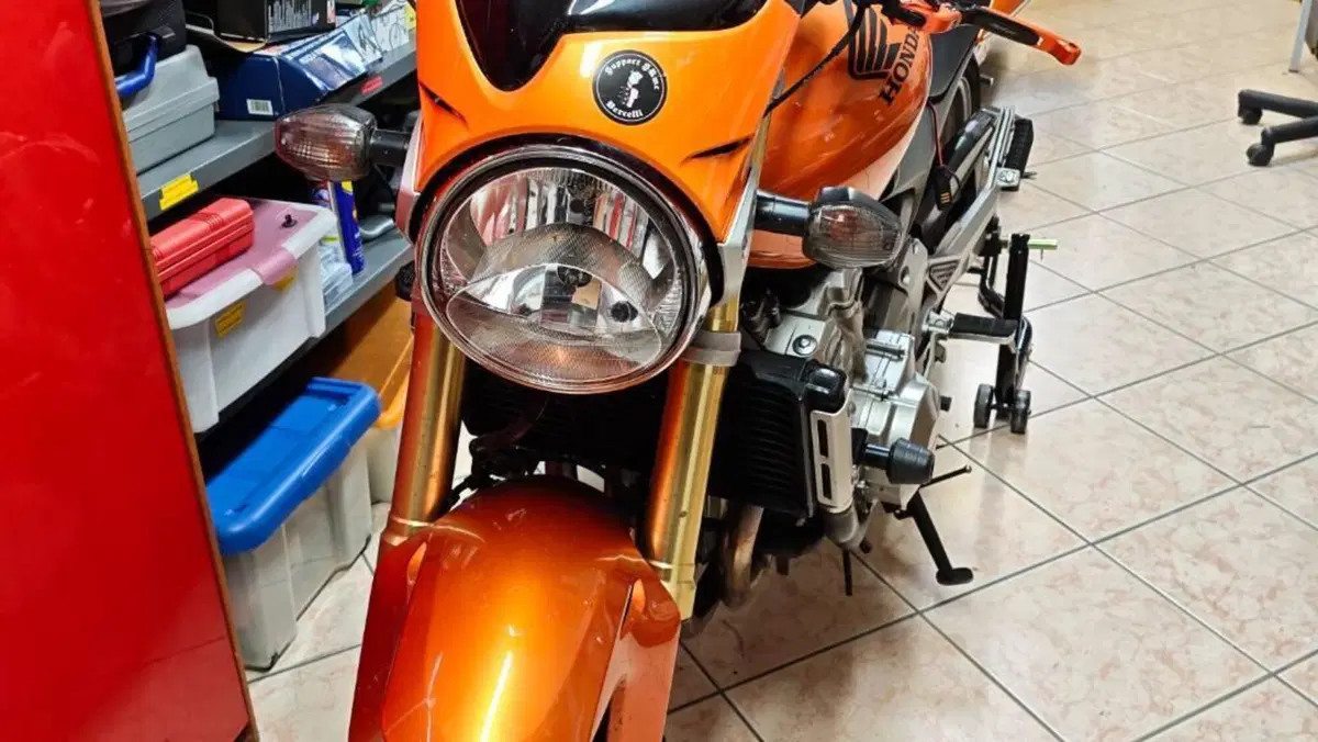 Honda Hornet 600 (2005 - 06)  (7)