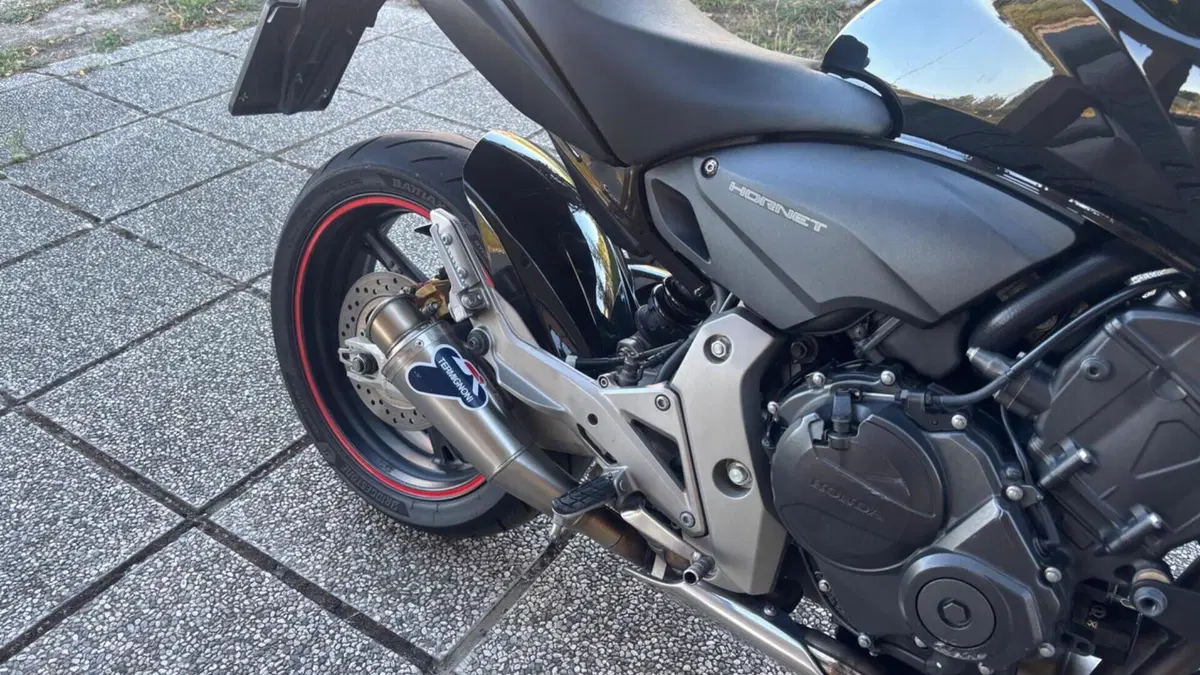 Honda Hornet 600 (2007 - 10)  (9)