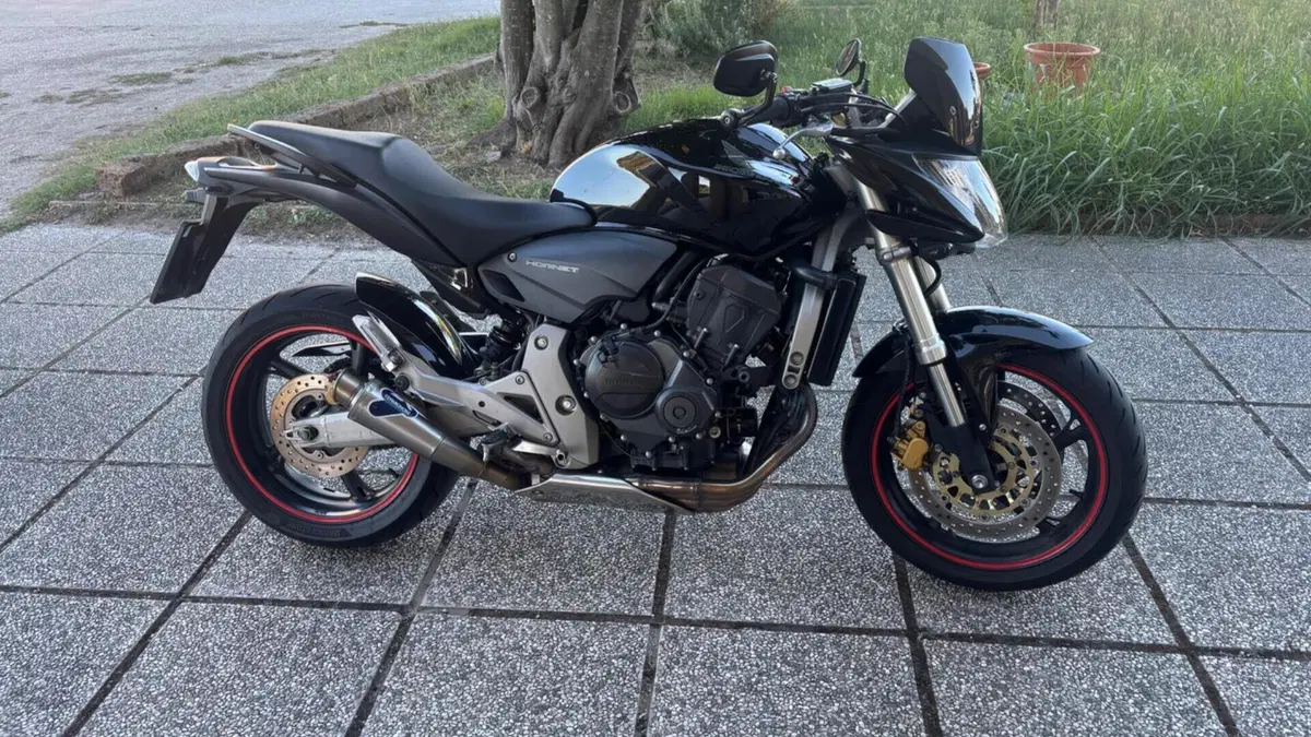 Honda Hornet 600 (2007 - 10)  (10)