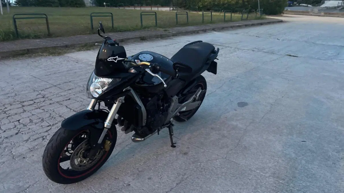 Honda Hornet 600 (2007 - 10)  (14)