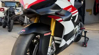 Ducati Panigale V4 S (2025 - 26) usata