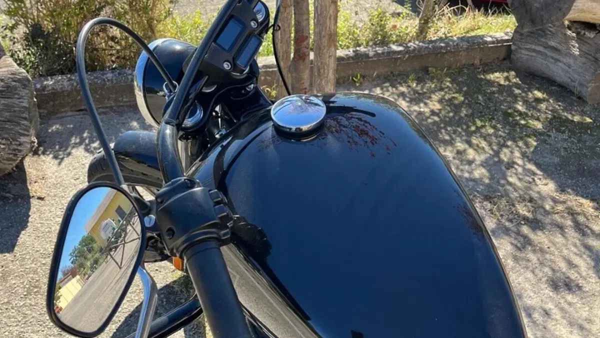 Harley-Davidson Street Bob 114 (2021 - 24)  (5)