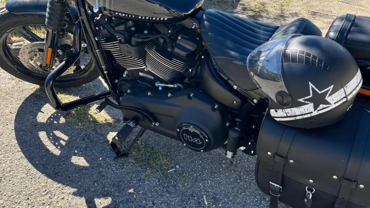 Harley-Davidson Street Bob 114 (2021 - 24)  (8)