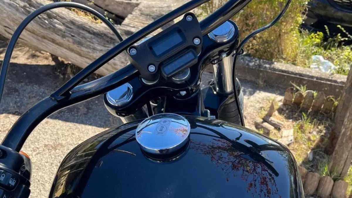 Harley-Davidson Street Bob 114 (2021 - 24)  (10)