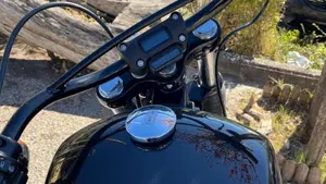 Harley-Davidson Street Bob 114 (2021 - 24)  (10)