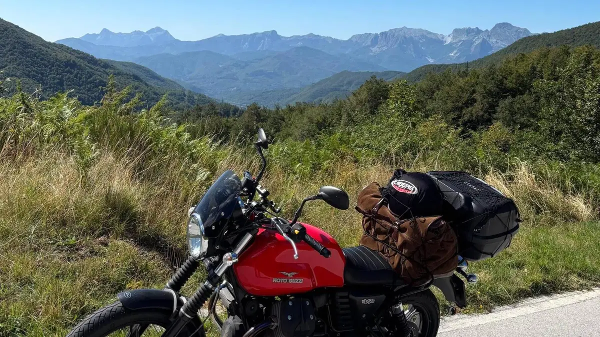 Moto Guzzi V7 Stone (2012 - 15)  (7)