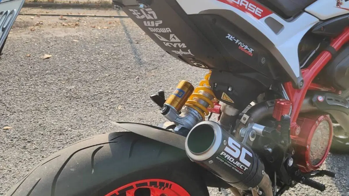 Ducati Hypermotard 939 SP (2016 - 18)  (11)