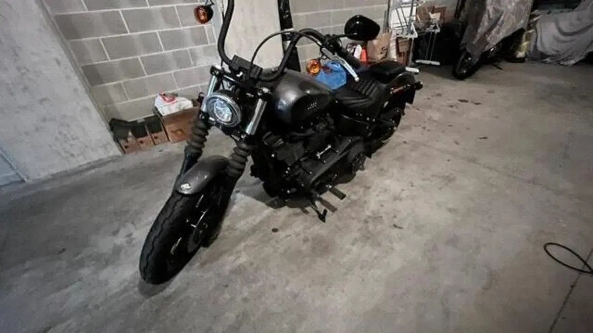 Harley-Davidson Street Bob 114 (2021 - 24) 