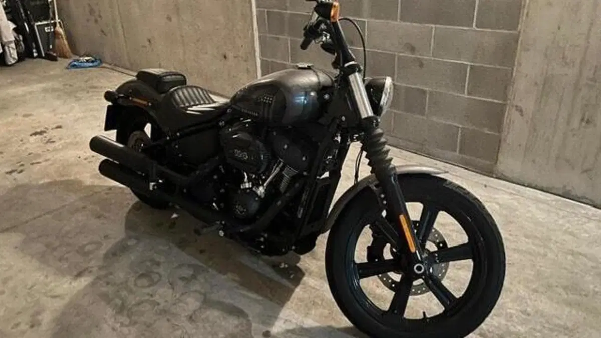 Harley-Davidson Street Bob 114 (2021 - 24)  (2)