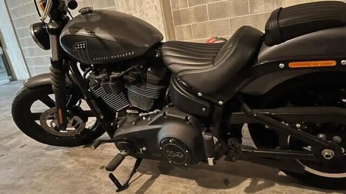 Harley-Davidson Street Bob 114 (2021 - 24)  (3)
