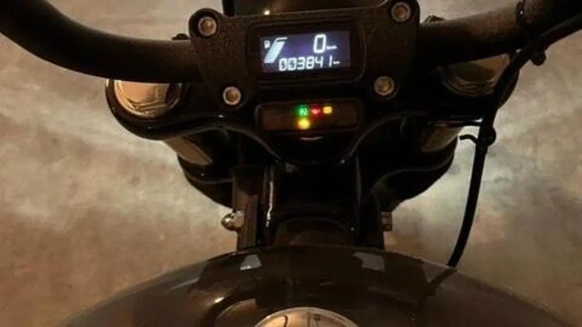 Harley-Davidson Street Bob 114 (2021 - 24)  (6)