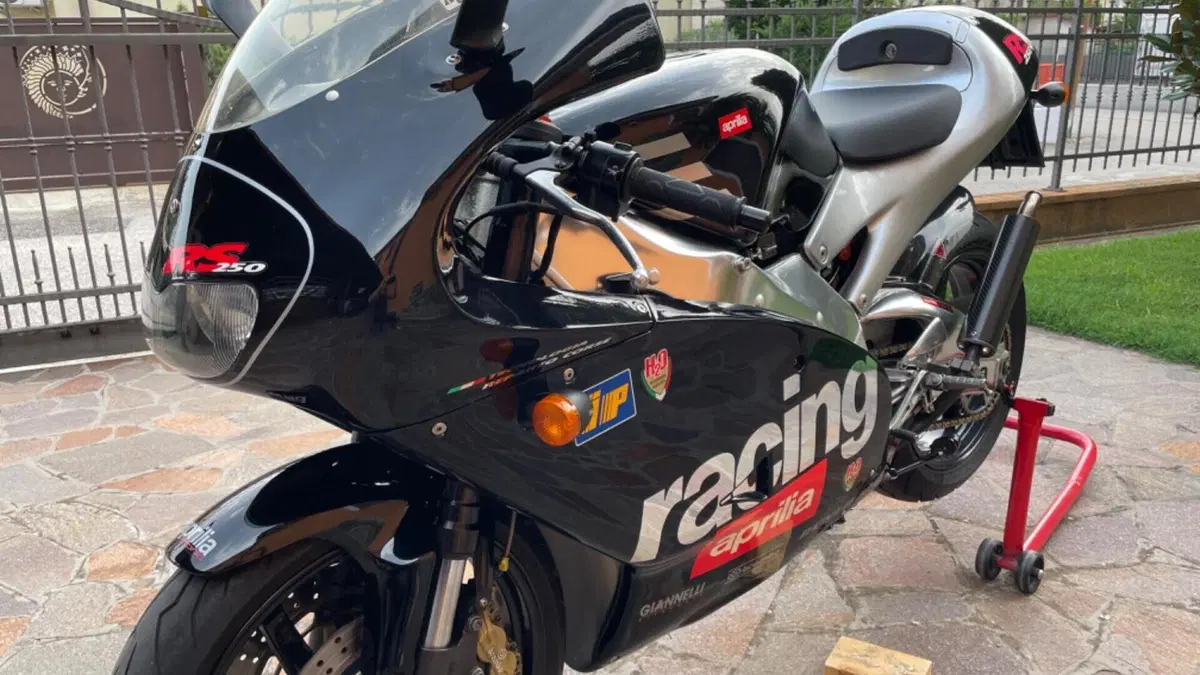 Aprilia RS 250 (1998 - 02)  (4)