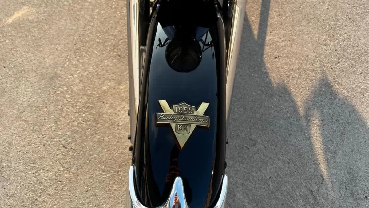Harley-Davidson   (8)