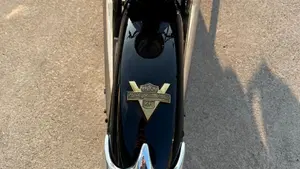 Harley-Davidson   (8)
