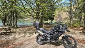 Triumph Tiger 800 XC ABS (2010 - 14)  (3)