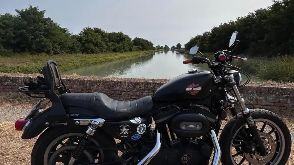 Harley-Davidson 883 Custom (2008 - 12) - XL 883C 