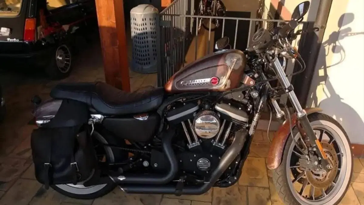 Harley-Davidson 883 R (2008 - 16) - XL 883R  (2)
