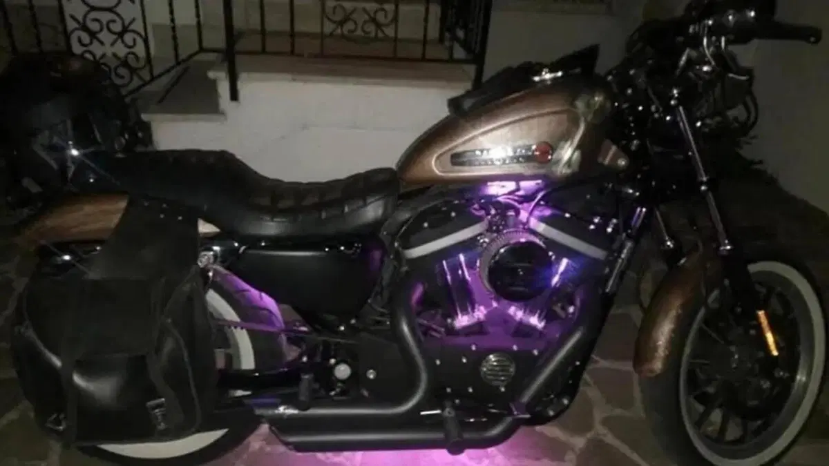 Harley-Davidson 883 R (2008 - 16) - XL 883R  (5)