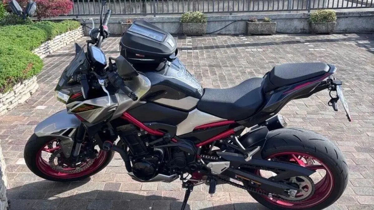 Kawasaki Z 900 (2021 - 24)  (2)