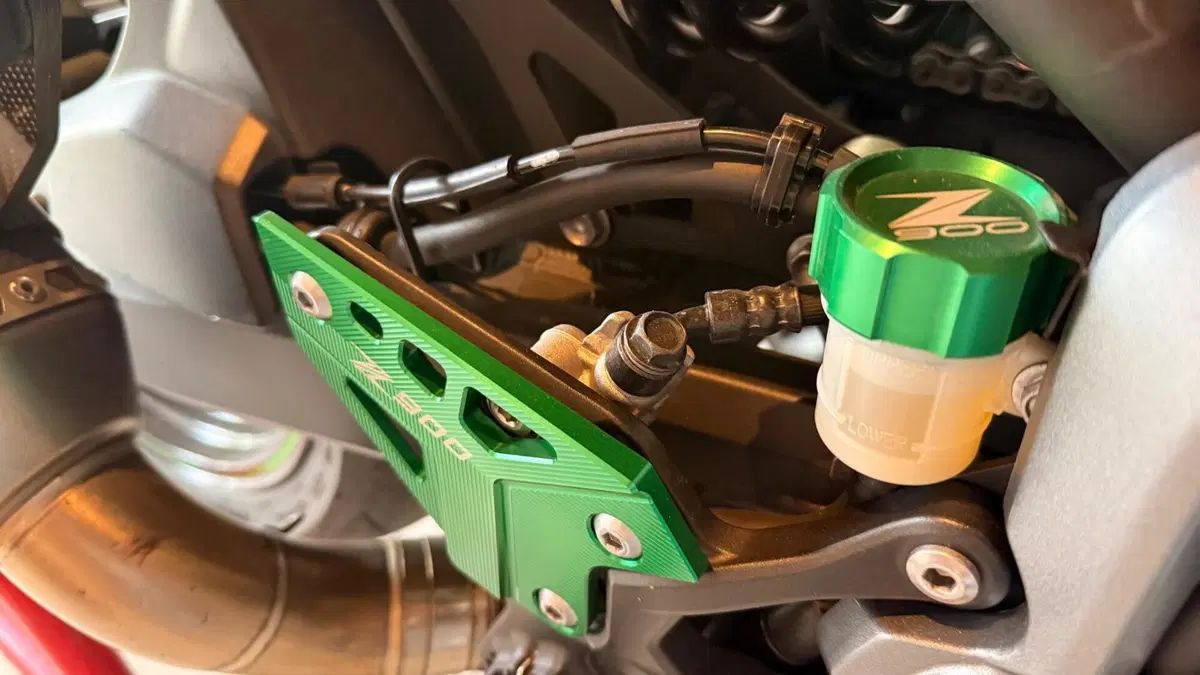 Kawasaki Z 900 (2017 - 18)  (7)