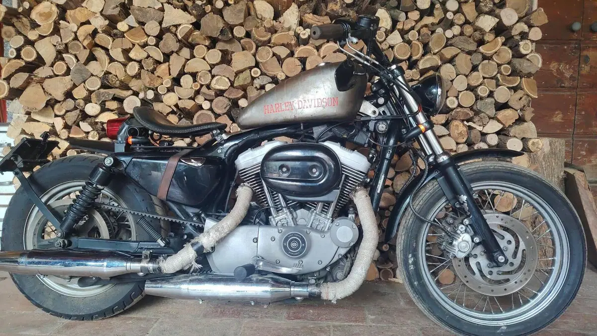 Harley-Davidson 1200 Roadster (2002 - 05) - XL 1200R  (2)