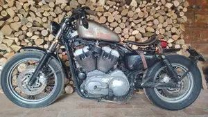 Harley-Davidson 1200 Roadster (2002 - 05) - XL 1200R 