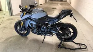 Suzuki GSX-S1000 (2021 - 25)  (2)