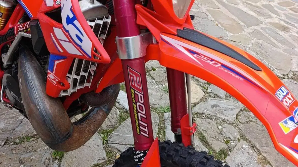 Betamotor RR 250 2T Enduro (2016)  (5)